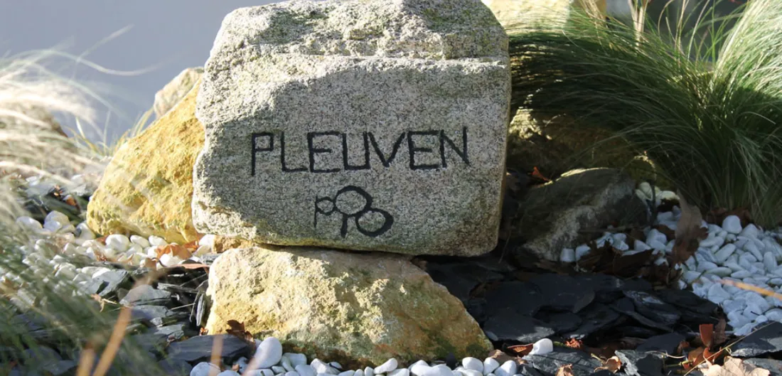Pleuven